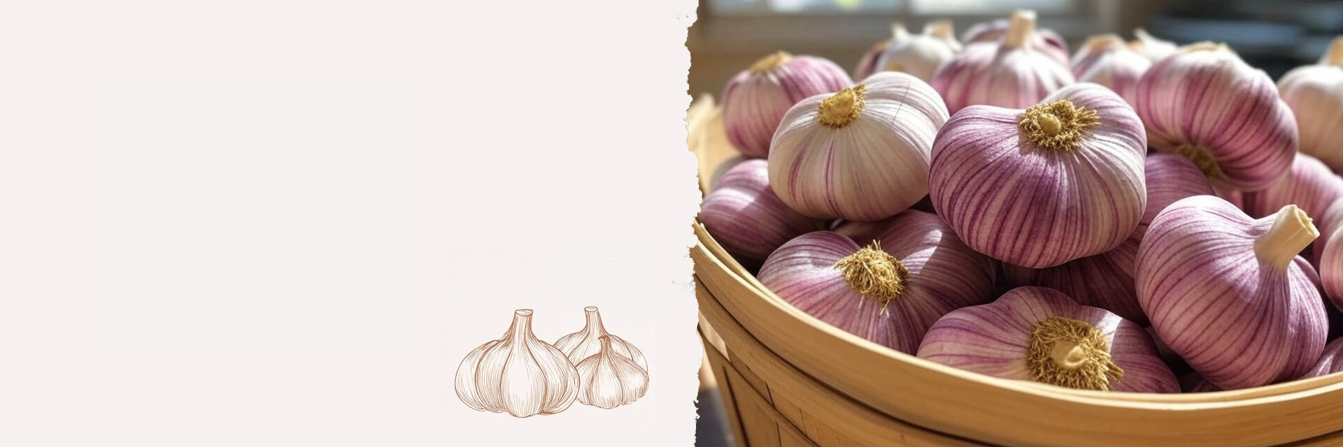 didyouknow_banner