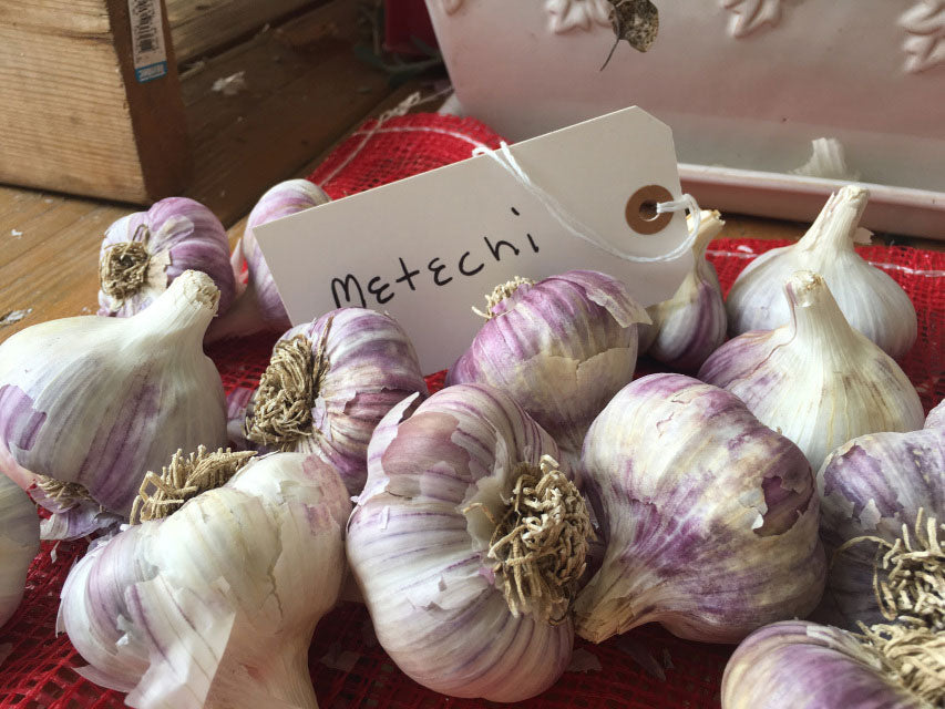 Metechi Garlic