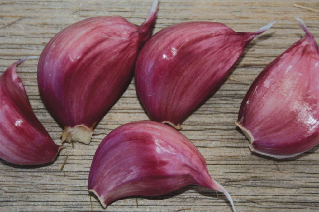 Creole Garlic