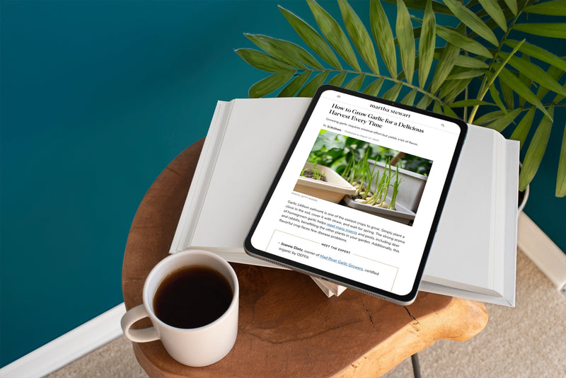 Featured in Martha Stewart’s Garlic Growing Guide!