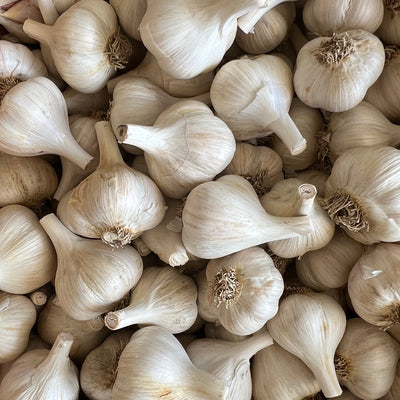 Food Hardneck Garlic