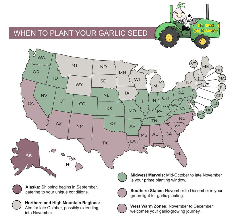 When does my garlic ship?