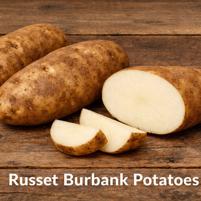Russet Burbank
