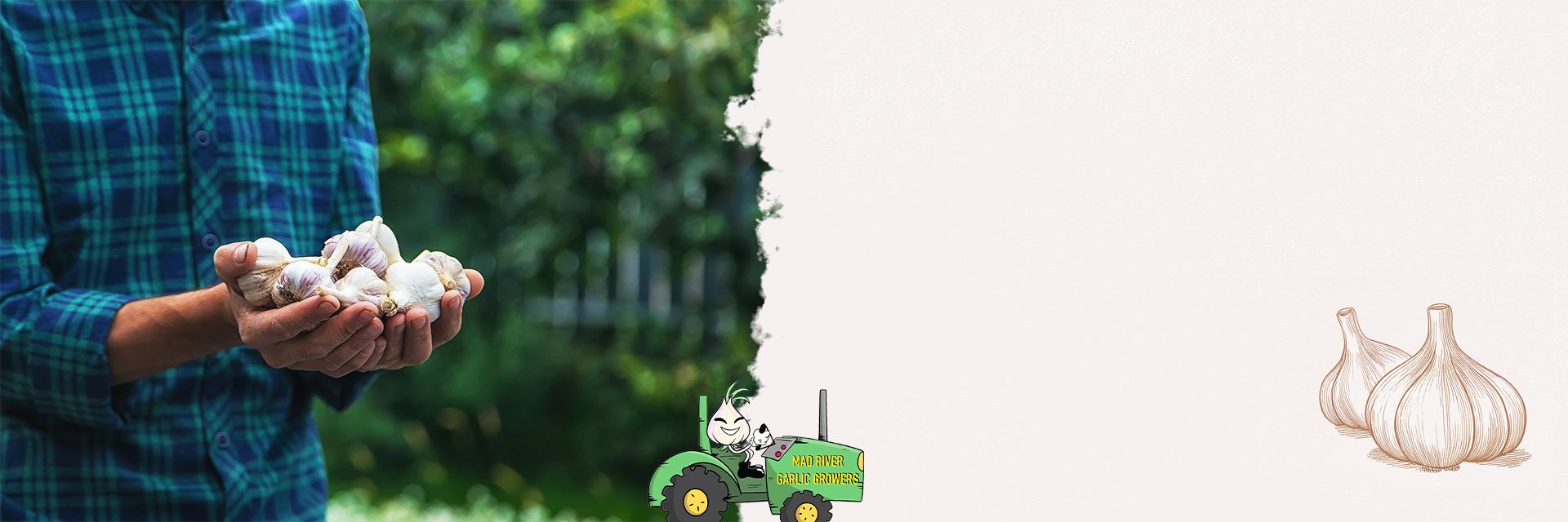 growing-garlic-banner