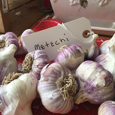 Metechi Garlic