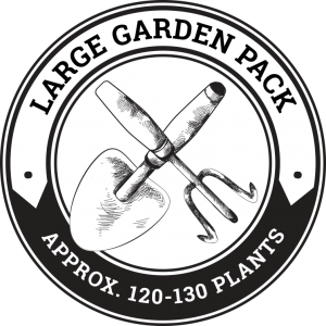 Large Garden Pack / FREE SHIPPING